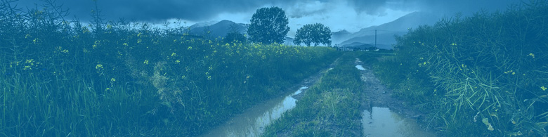Section background image