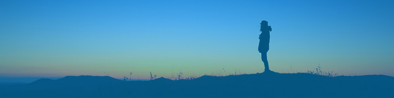 Section background image